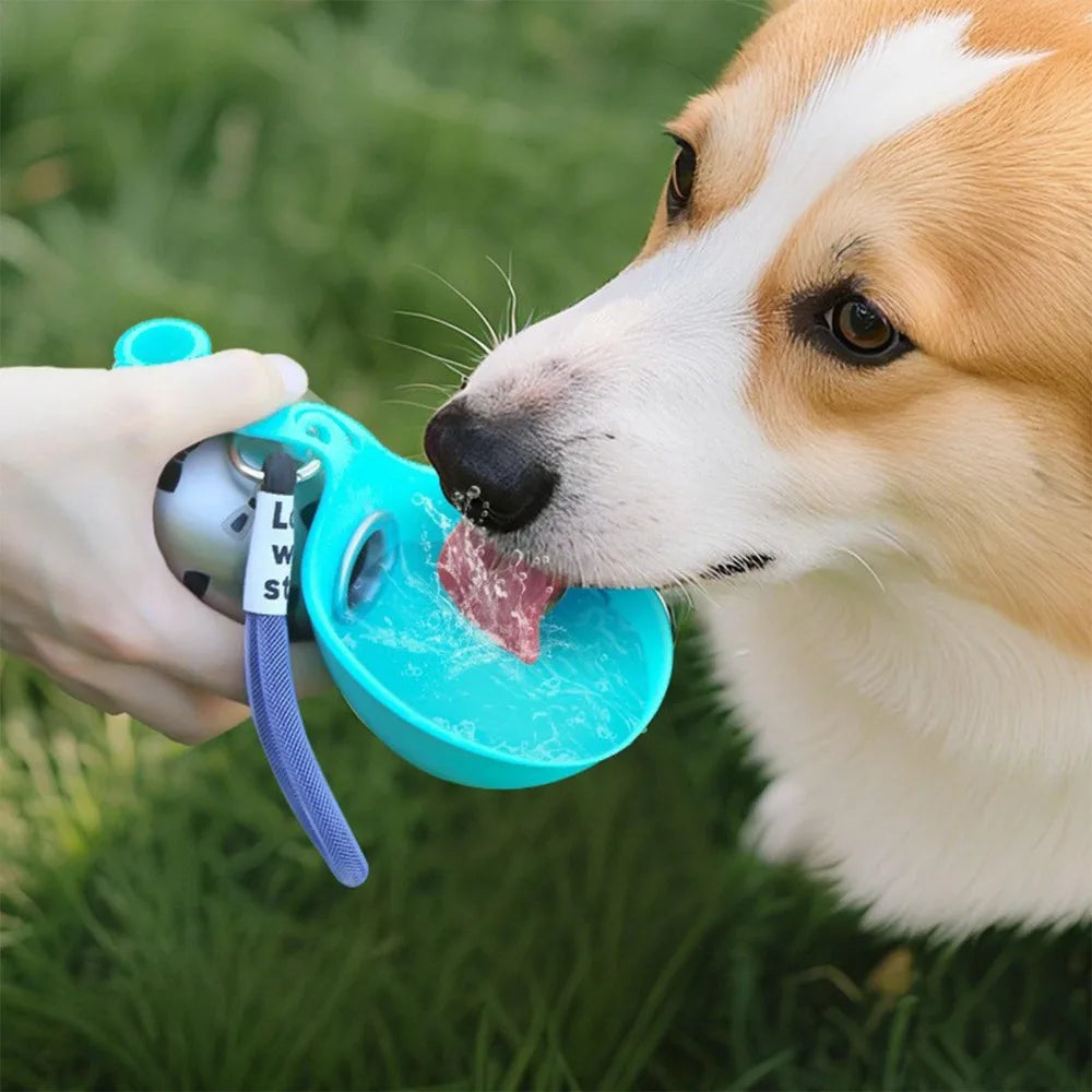 Stainless Steel Dog Water Bottle With Silicone Bowl 285 ml